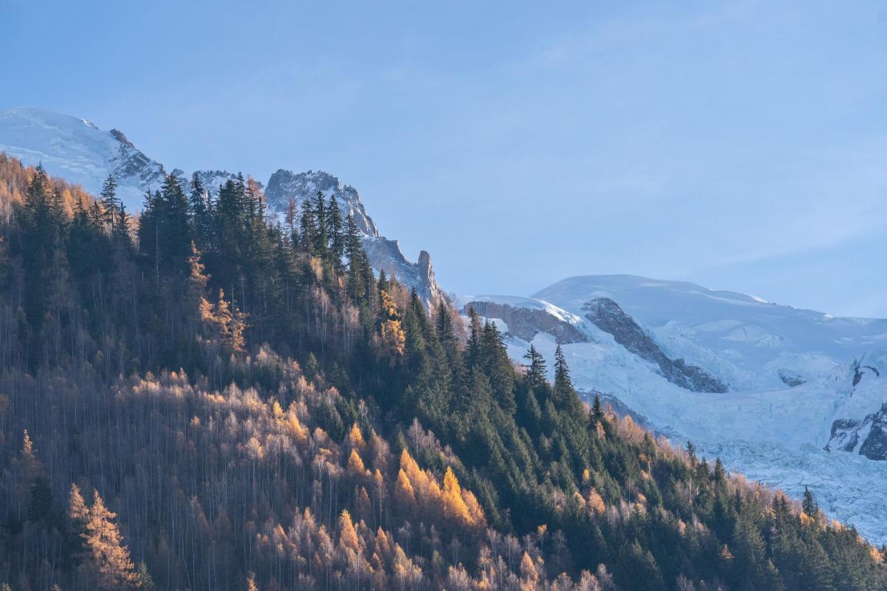 Chamonix Sud Studio With Mont Blanc Views Ngoại thất bức ảnh